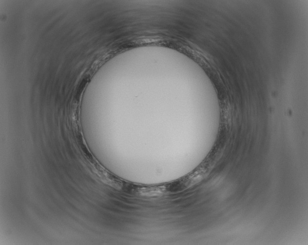 X0000070190373200605261011