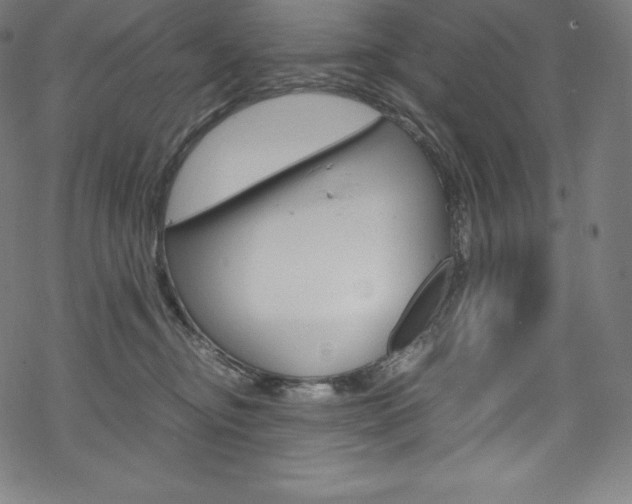 X0000070190374200605261011