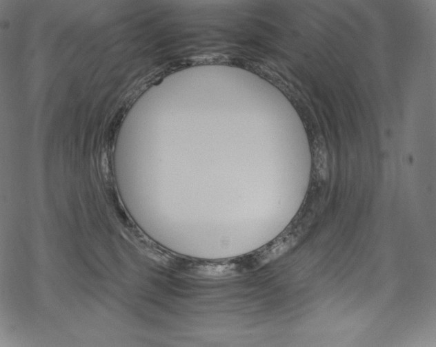 X0000070190375200605261011