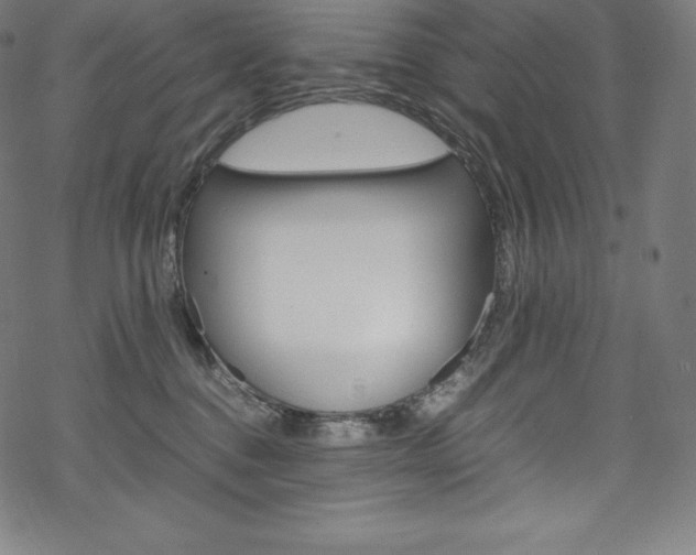 X0000070190376200605261011