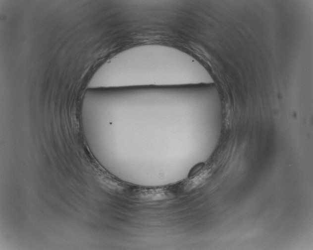 X0000070190377200605261011