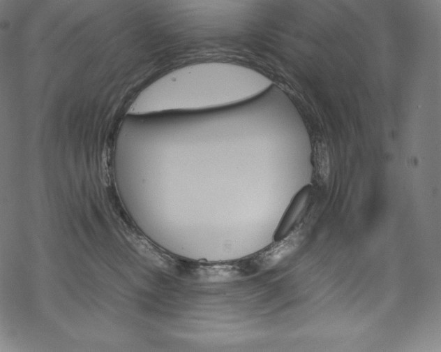 X0000070190378200605261011