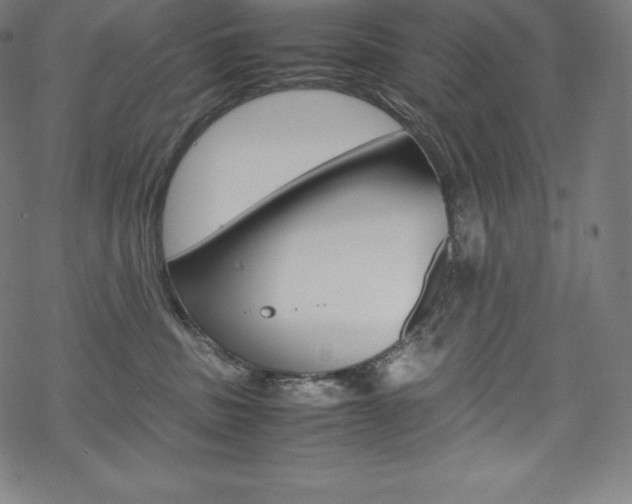 X0000070190379200605261011