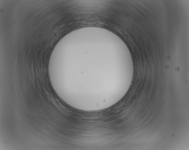 X0000070190380200605261011