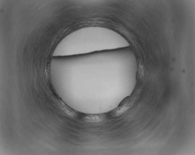 X0000070190381200605261011