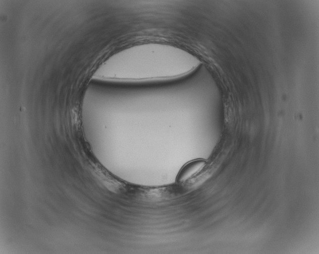 X0000070190382200605261011