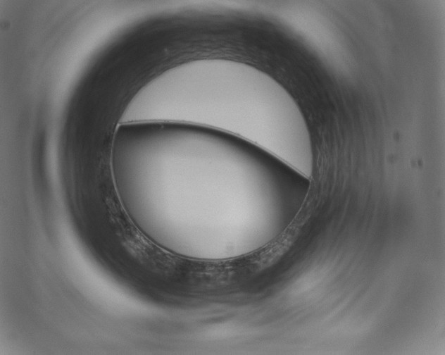 X0000070190383200605261011