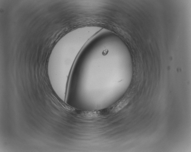 X0000070190384200605261011