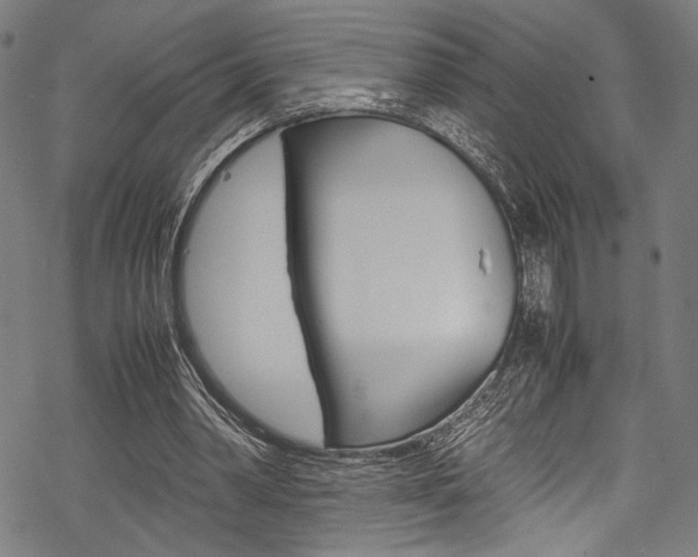 X0000070190390200605261010