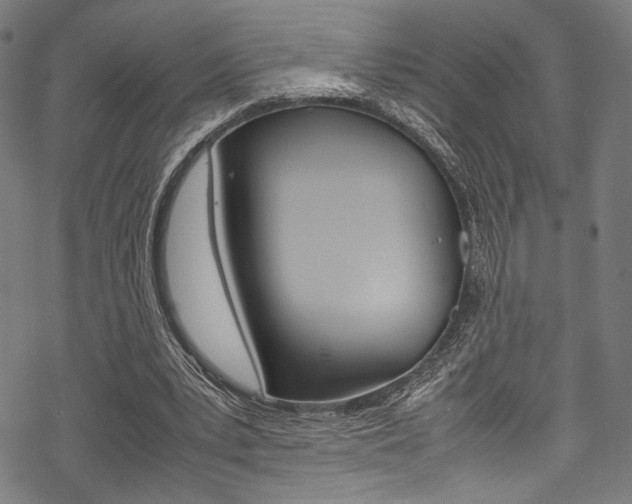 X0000070190391200605261010