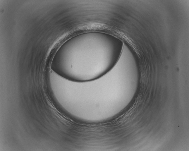 X0000070190392200605261010