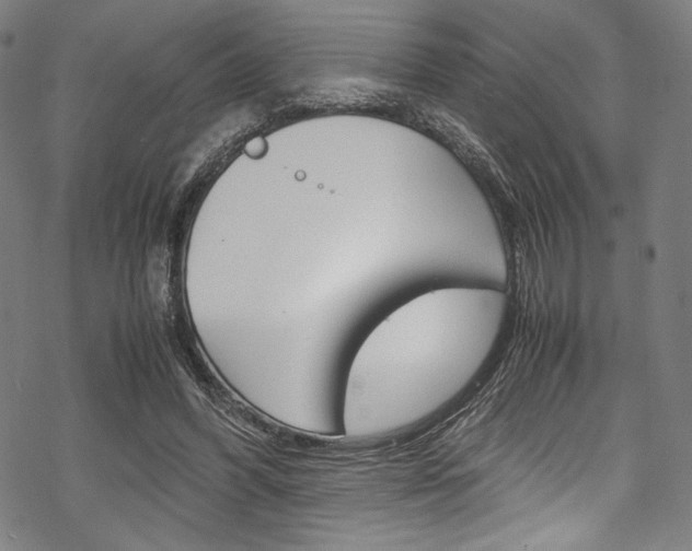 X0000070190396200605261010