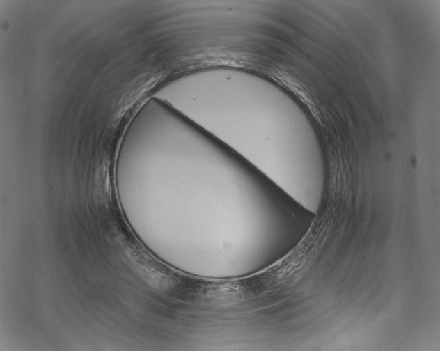 X0000070190398200605261010