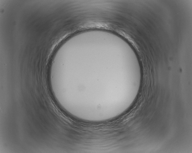 X0000070190399200605261010