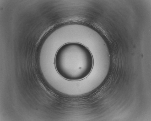 X0000070190400200605261010