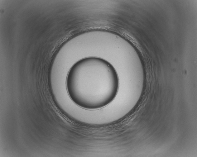 X0000070190401200605261010