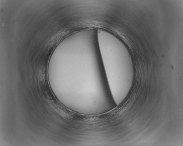 X0000070190402200605261010