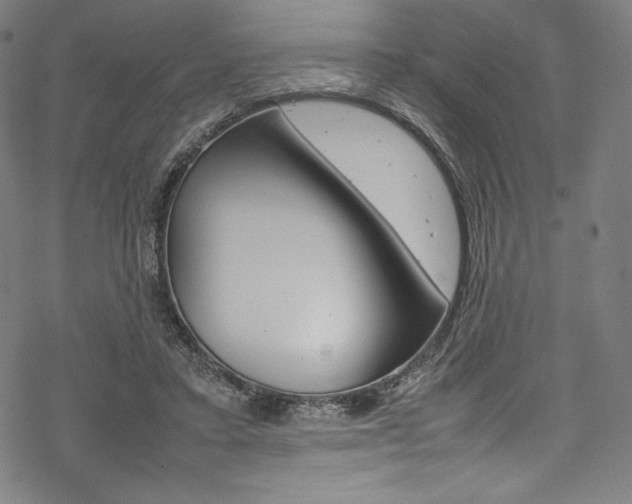 X0000070190403200605261010