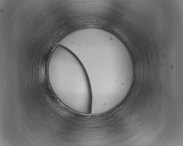 X0000070190406200605261010