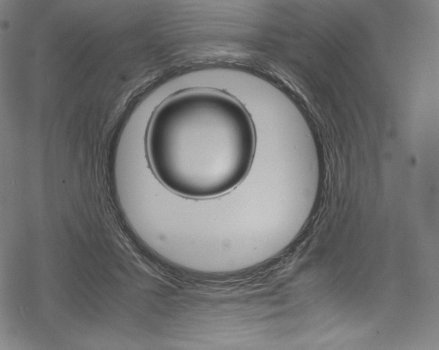 X0000070190407200605261010