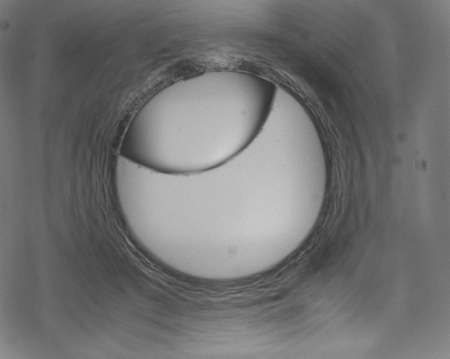 X0000070190409200605261010