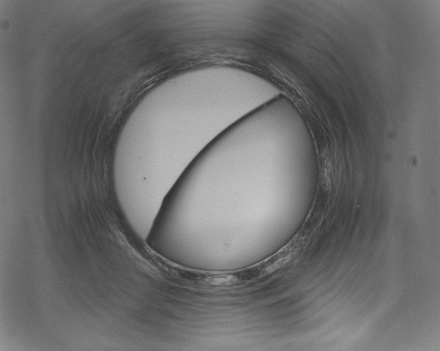 X0000070190410200605261010