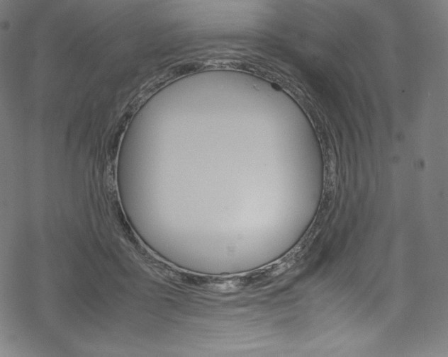 X0000070190411200605261010