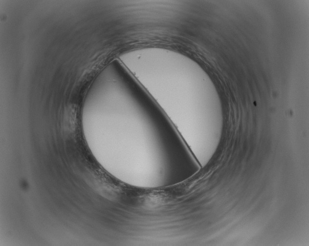 X0000070190412200605261010