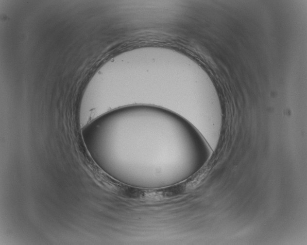 X0000070190413200605261010