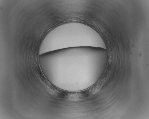 X0000070190414200605261010