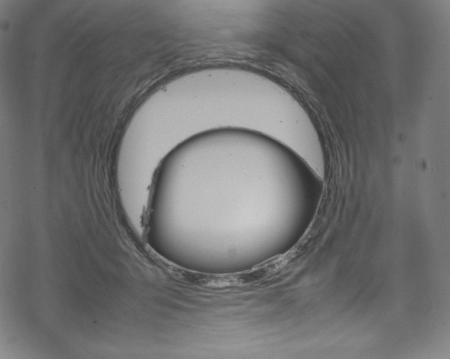 X0000070190415200605261010