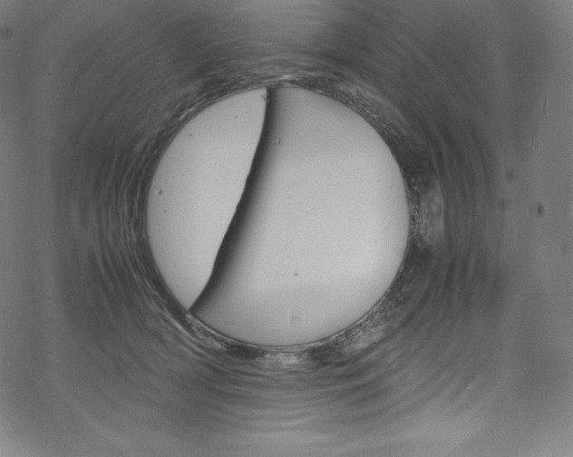 X0000070190418200605261009