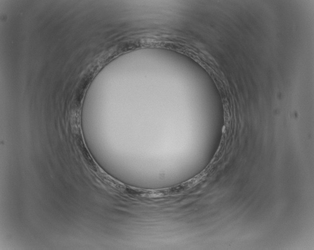 X0000070190419200605261009