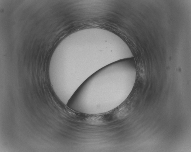 X0000070190422200605261009