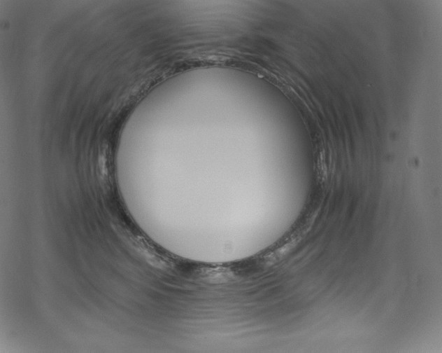 X0000070190424200605261009