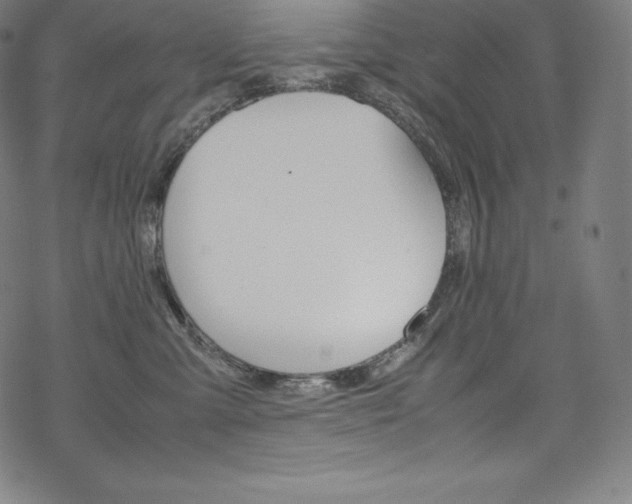 X0000070190427200605261009