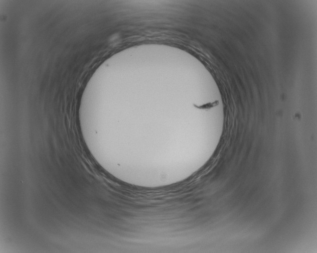 X0000070190429200605261009