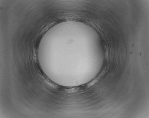 X0000070190430200605261009