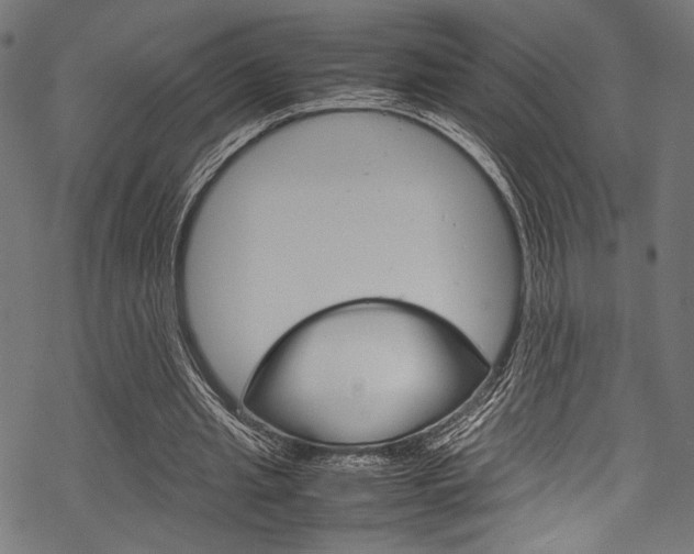 X0000070190437200605261009