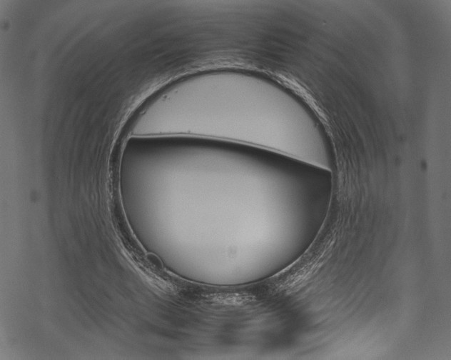 X0000070190439200605261009