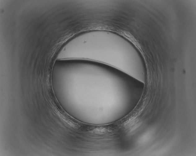 X0000070190441200605261009