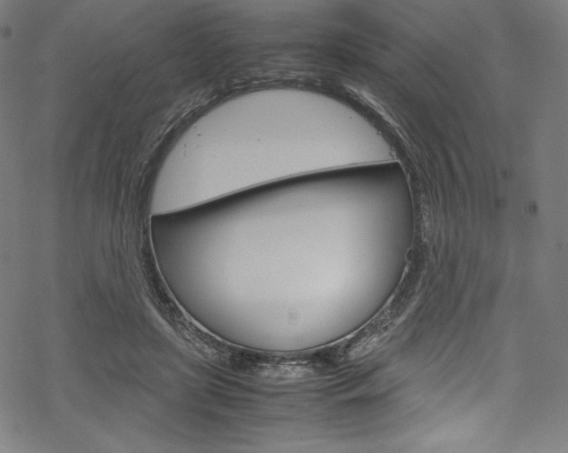 X0000070190451200605261009