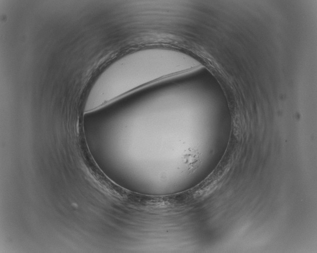 X0000070190454200605261009