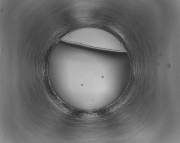 X0000070190455200605261009