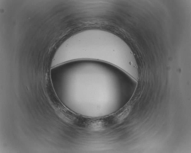 X0000070190456200605261009