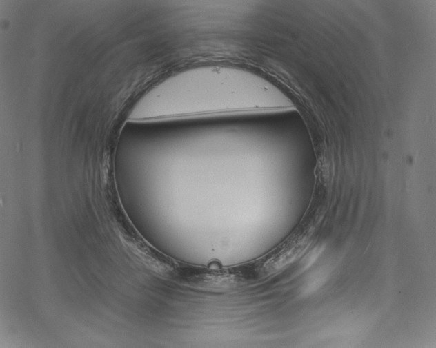 X0000070190458200605261009