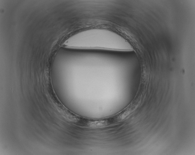 X0000070190461200605261009