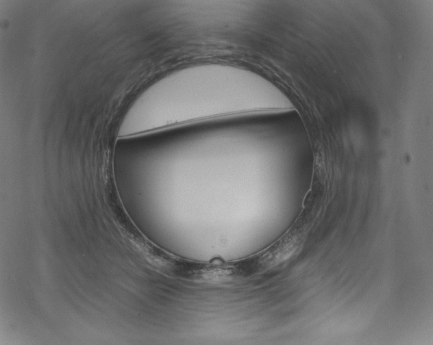 X0000070190462200605261009