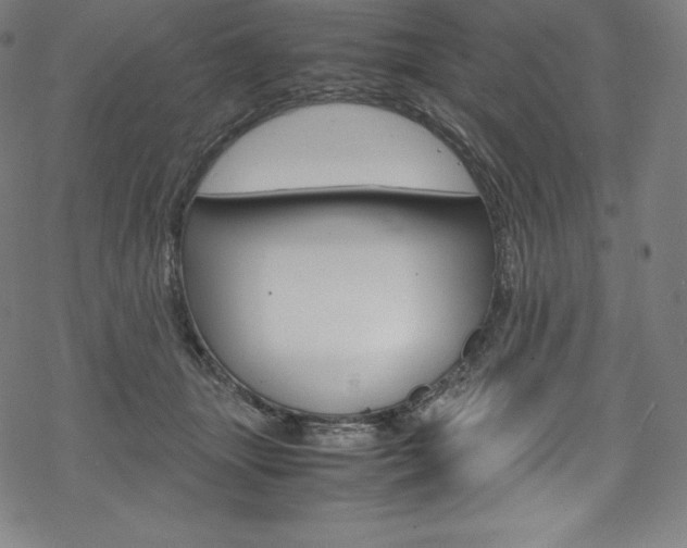 X0000070190463200605261009