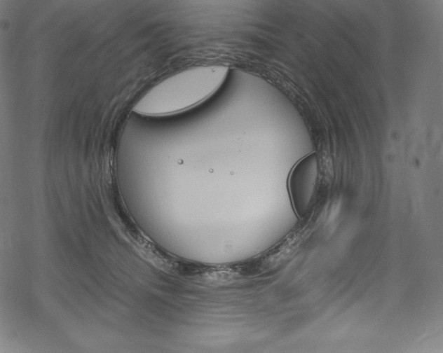 X0000070190468200605261009